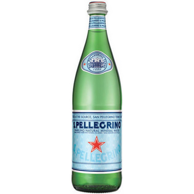 S. Pellegrino Sparkling Natural Mineral Water 16.9 oz Bottle